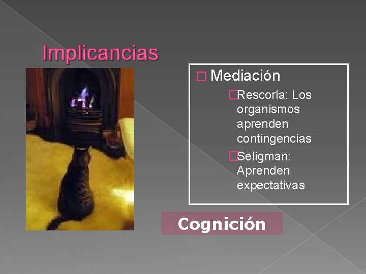 Implicancias � Mediación �Rescorla: Los organismos aprenden contingencias �Seligman: Aprenden expectativas Cognición 