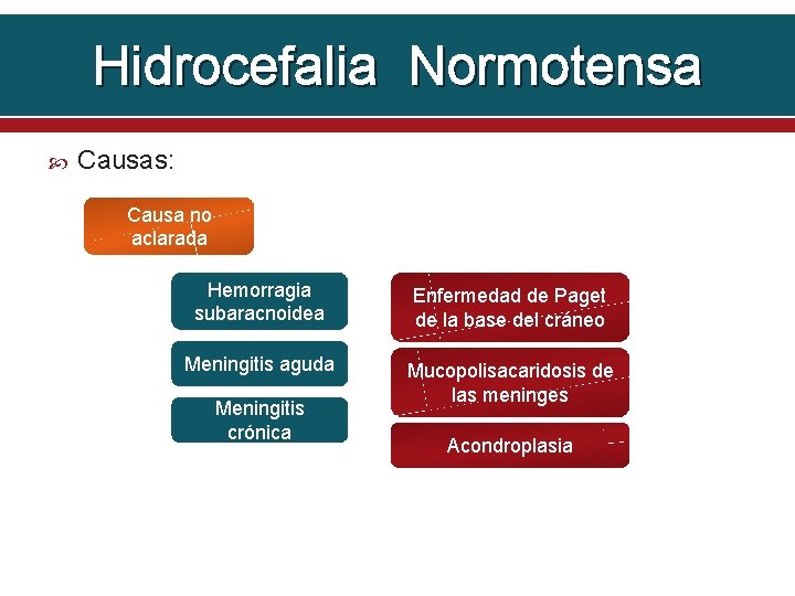 Hidrocefalia Normotensa Causas: Causa no aclarada Hemorragia subaracnoidea Enfermedad de Paget de la base