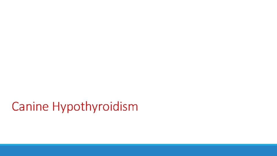Canine Hypothyroidism 