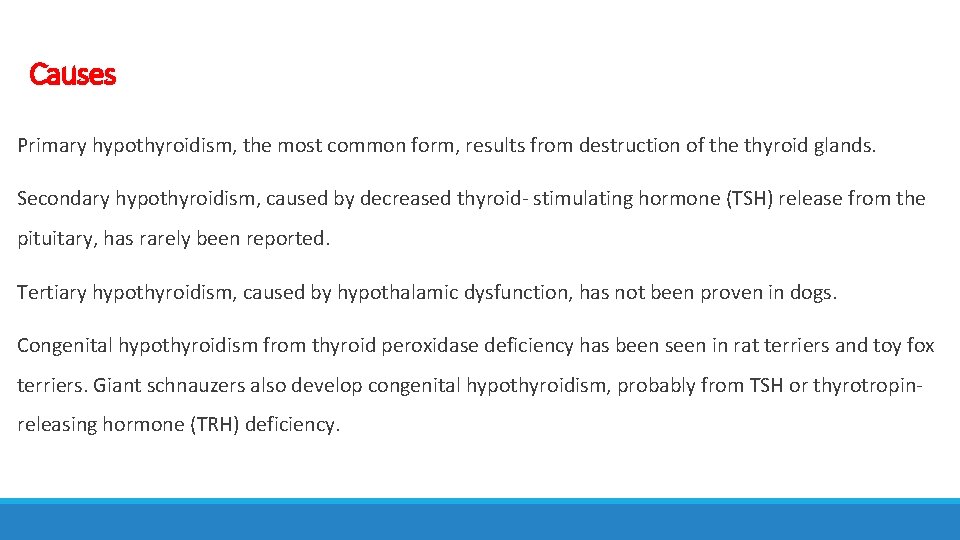 Causes Primary hypothyroidism, the most common form, results from destruction of the thyroid glands.