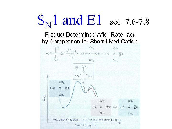 SN 1 and E 1 sec. 7. 6 -7. 8 Product Determined After Rate