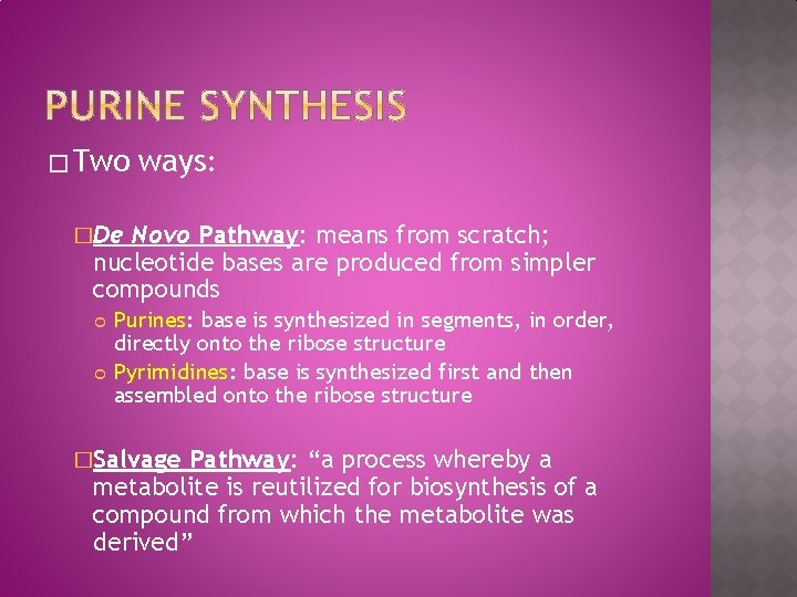 � Two ways: �De Novo Pathway: means from scratch; nucleotide bases are produced from
