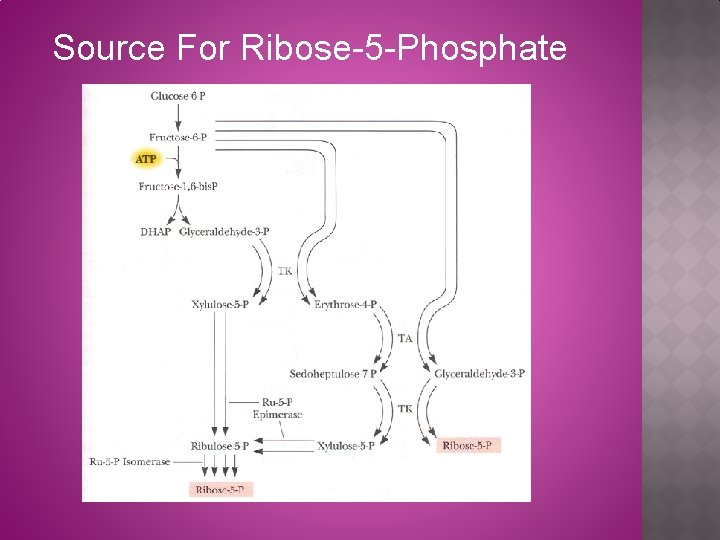 Source For Ribose-5 -Phosphate 
