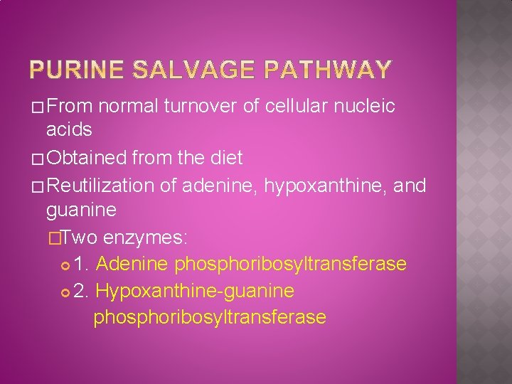 � From normal turnover of cellular nucleic acids � Obtained from the diet �