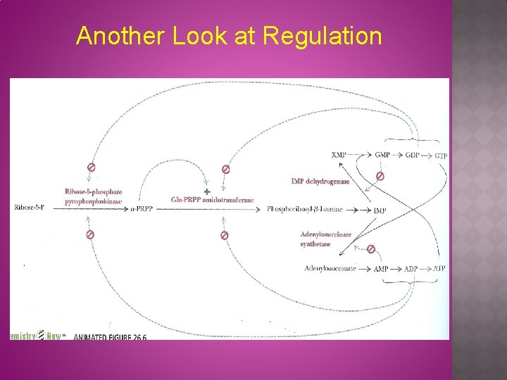 Another Look at Regulation Fig 26. 6 