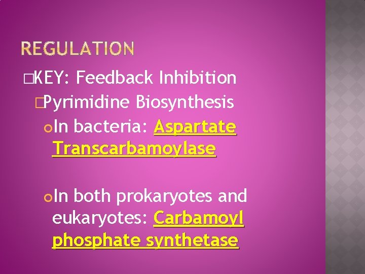 �KEY: Feedback Inhibition �Pyrimidine Biosynthesis In bacteria: Aspartate Transcarbamoylase In both prokaryotes and eukaryotes:
