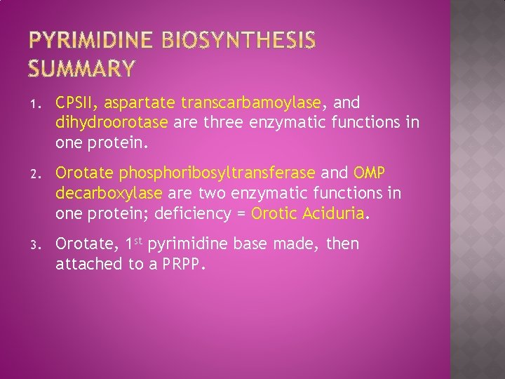 1. CPSII, aspartate transcarbamoylase, and dihydroorotase are three enzymatic functions in one protein. 2.