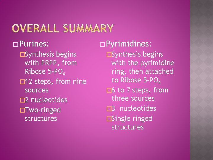 � Purines: �Synthesis begins with PRPP, from Ribose 5 -PO 4 � 12 steps,