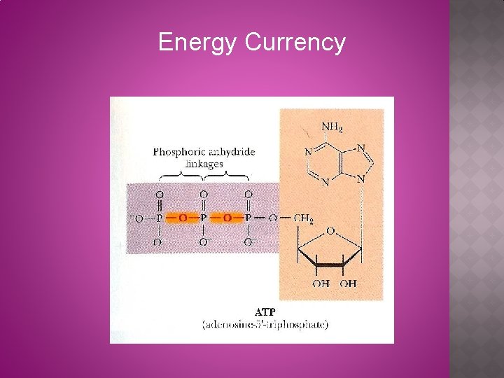 Energy Currency 