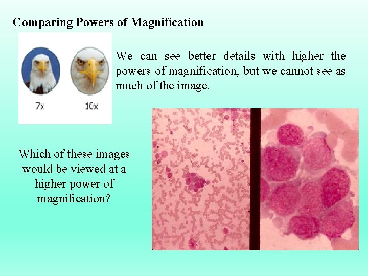 Comparing Powers of Magnification We can see better details with higher the powers of