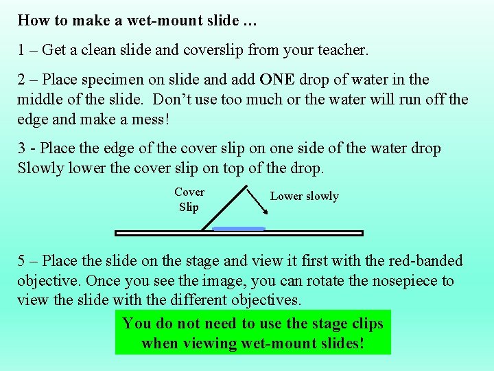 How to make a wet-mount slide … 1 – Get a clean slide and