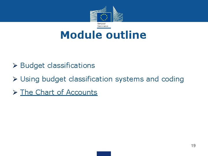 Module outline Ø Budget classifications Ø Using budget classification systems and coding Ø The