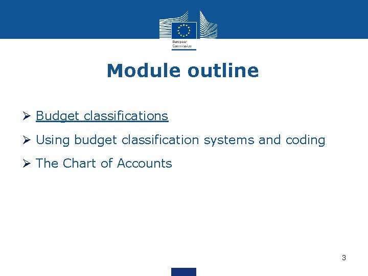 Module outline Ø Budget classifications Ø Using budget classification systems and coding Ø The