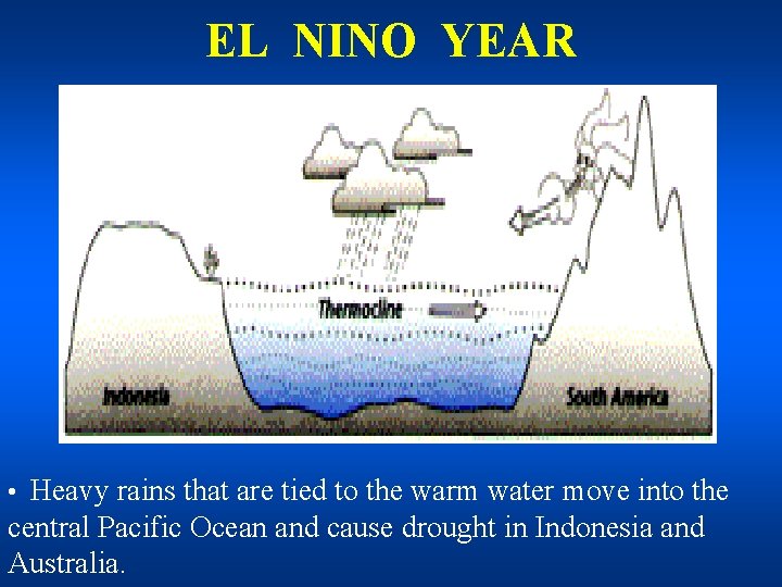 EL NINO YEAR • Heavy rains that are tied to the warm water move