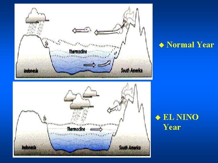 u Normal u EL Year NINO Year 