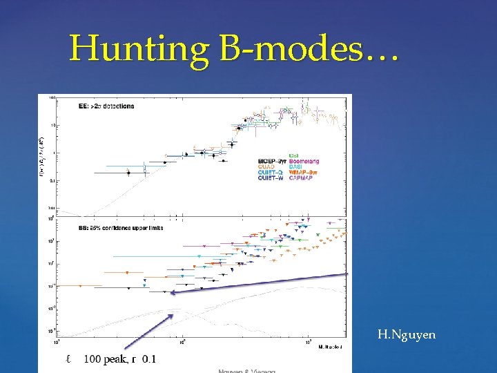 Hunting B-modes… H. Nguyen 