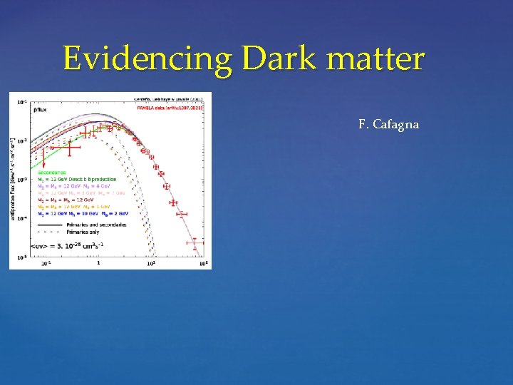 Evidencing Dark matter F. Cafagna 
