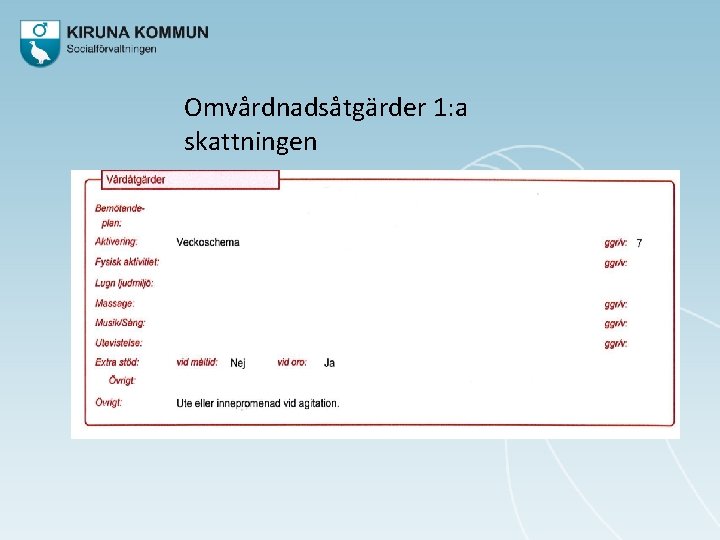 Omvårdnadsåtgärder 1: a skattningen 