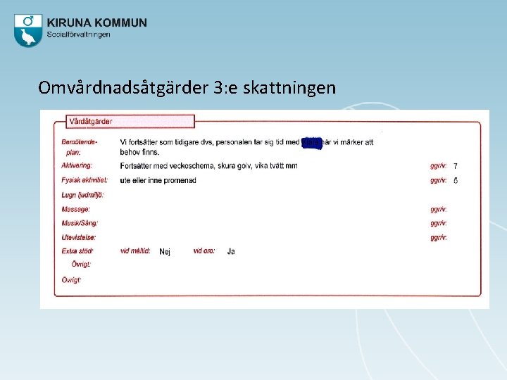 Omvårdnadsåtgärder 3: e skattningen 