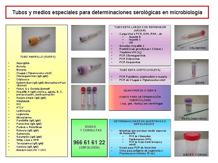 Tubos y medios especiales para determinaciones serológicas en microbiología TUBO EDTA LARGO CON SEPARADOR