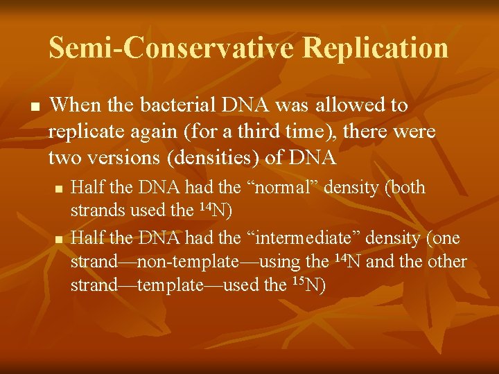 Semi-Conservative Replication n When the bacterial DNA was allowed to replicate again (for a
