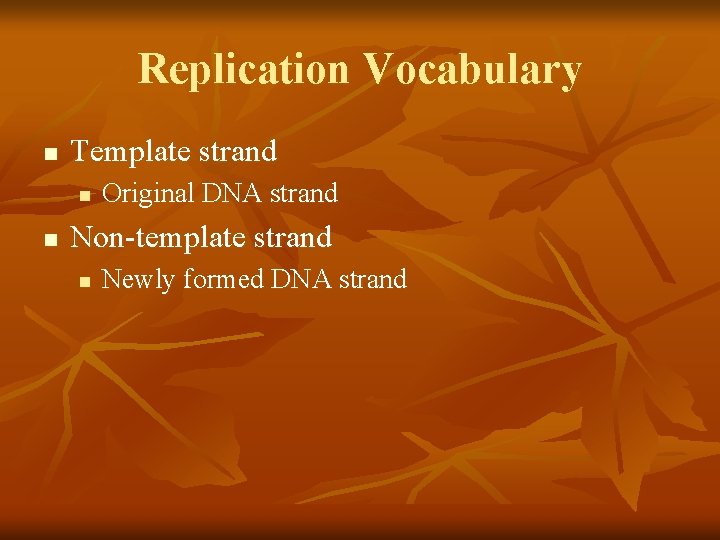 Replication Vocabulary n Template strand n n Original DNA strand Non-template strand n Newly