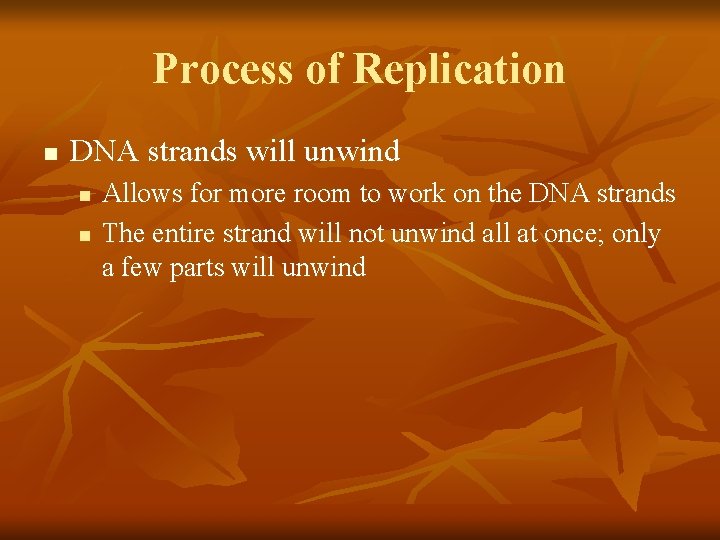 Process of Replication n DNA strands will unwind n n Allows for more room