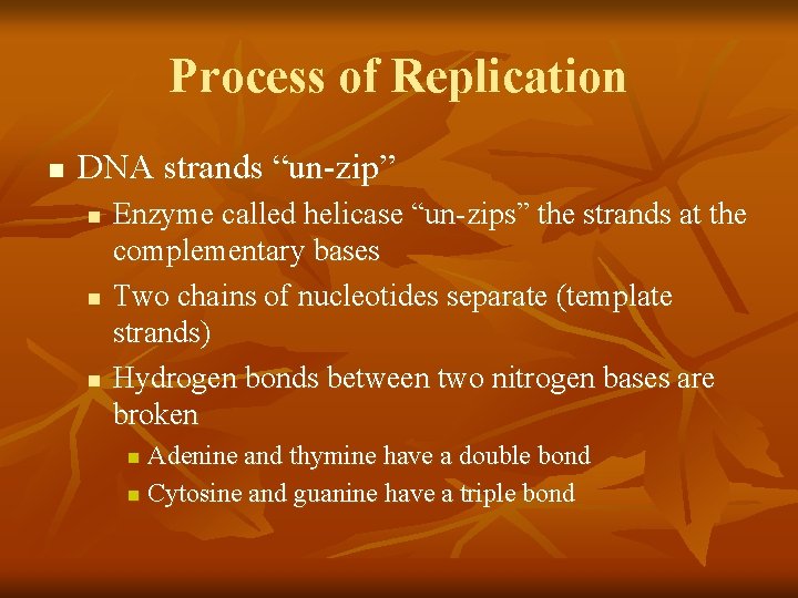 Process of Replication n DNA strands “un-zip” n n n Enzyme called helicase “un-zips”