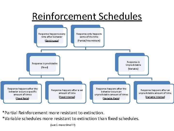 Reinforcement Schedules Response happens every time after behavior (Continuous) Response only happens some of