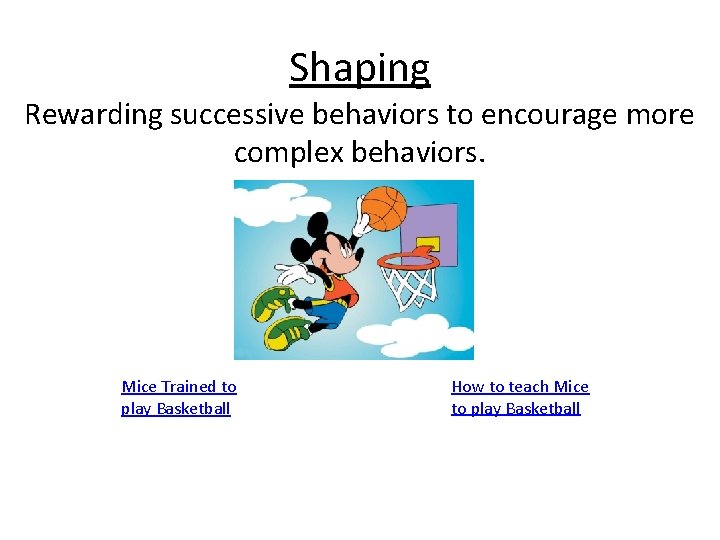 Shaping Rewarding successive behaviors to encourage more complex behaviors. Mice Trained to play Basketball