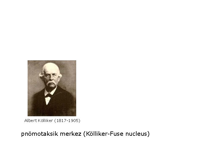 Albert Kölliker (1817 -1905) pnömotaksik merkez (Kölliker-Fuse nucleus) 
