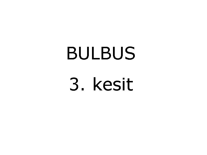 BULBUS 3. kesit 