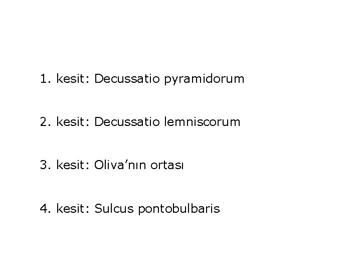 1. kesit: Decussatio pyramidorum 2. kesit: Decussatio lemniscorum 3. kesit: Oliva’nın ortası 4. kesit: