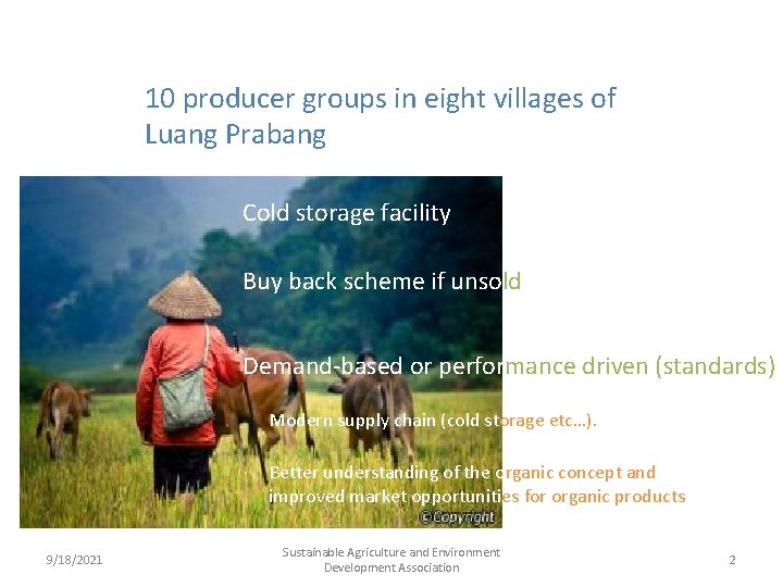 10 producer groups in eight villages of Luang Prabang Cold storage facility Buy back