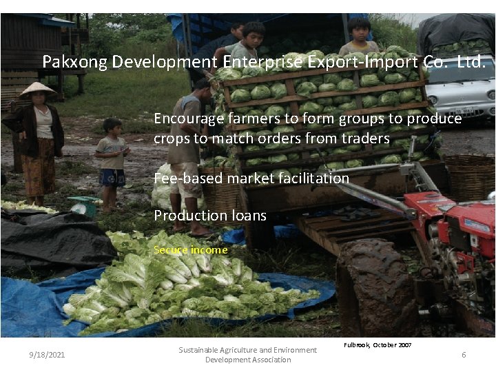 Pakxong Development Enterprise Export-Import Co. Ltd. Encourage farmers to form groups to produce crops