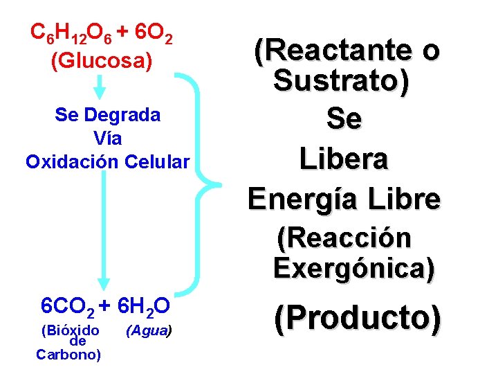 C 6 H 12 O 6 + 6 O 2 (Glucosa) Se Degrada Vía