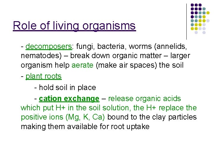 Role of living organisms - decomposers: fungi, bacteria, worms (annelids, nematodes) – break down