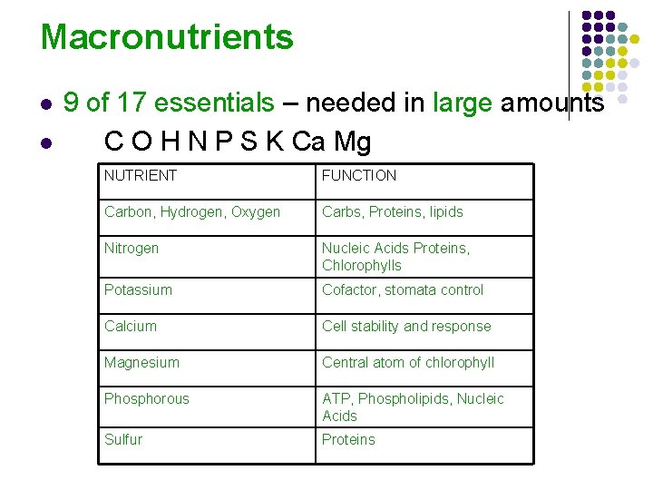 Macronutrients l l 9 of 17 essentials – needed in large amounts C O