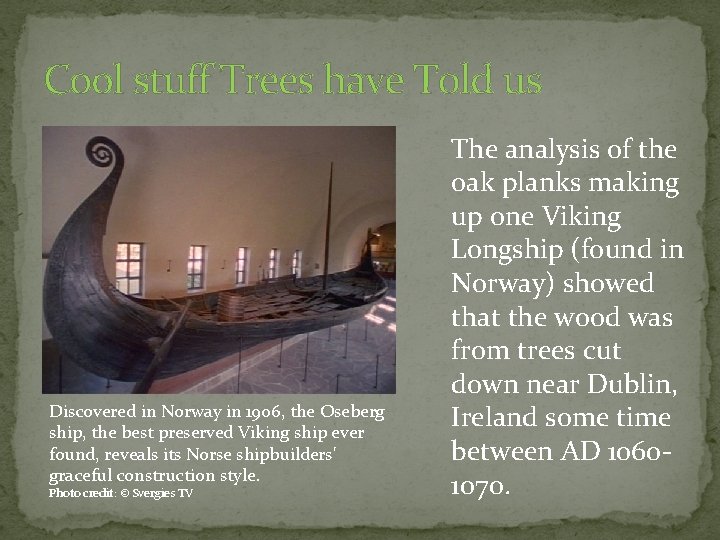 Cool stuff Trees have Told us Discovered in Norway in 1906, the Oseberg ship,