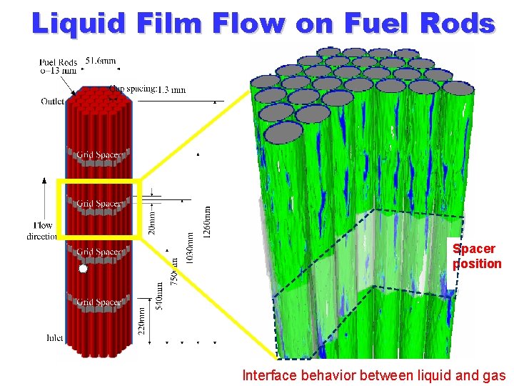 Liquid Film Flow on Fuel Rods Spacer position Interface behavior between liquid and gas