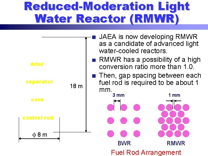 Reduced-Moderation Light Water Reactor (RMWR) drier separator core 18 m JAEA is now developing