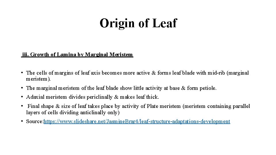 Origin of Leaf iii. Growth of Lamina by Marginal Meristem • The cells of