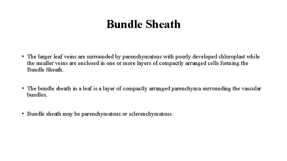 Bundle Sheath • The larger leaf veins are surrounded by parenchymatous with poorly developed