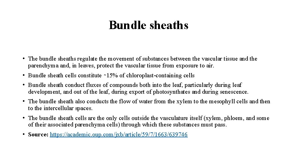 Bundle sheaths • The bundle sheaths regulate the movement of substances between the vascular
