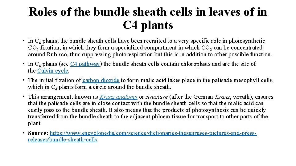 Roles of the bundle sheath cells in leaves of in C 4 plants •