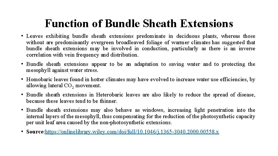 Function of Bundle Sheath Extensions • Leaves exhibiting bundle sheath extensions predominate in deciduous