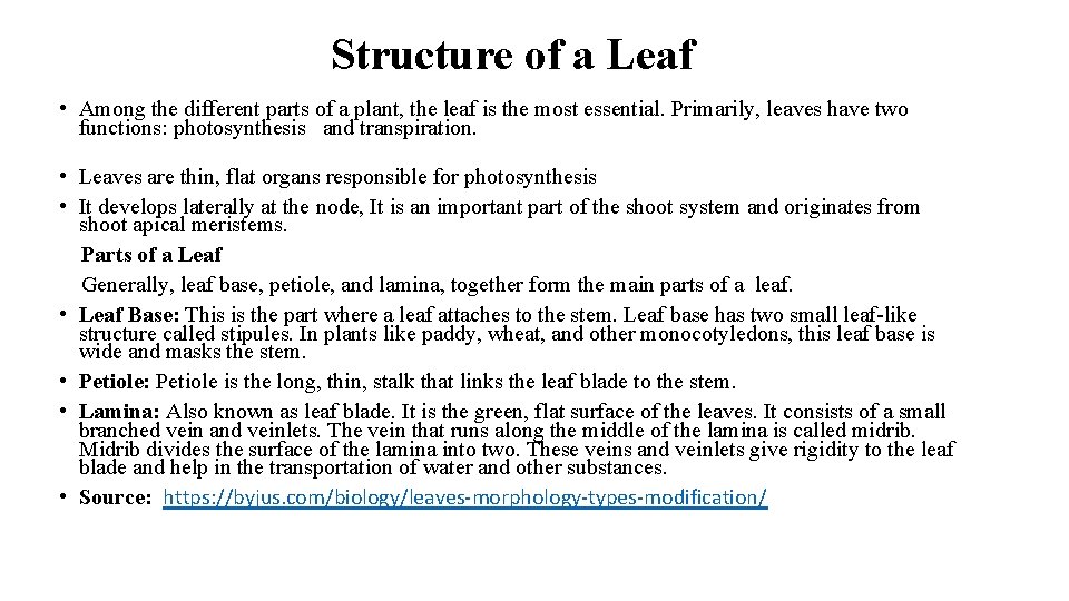Structure of a Leaf • Among the different parts of a plant, the leaf