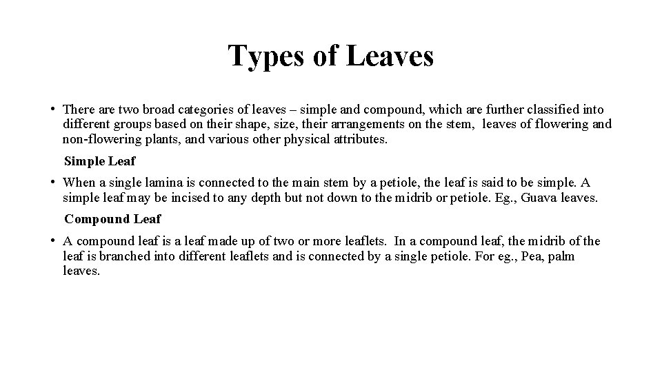 Types of Leaves • There are two broad categories of leaves – simple and