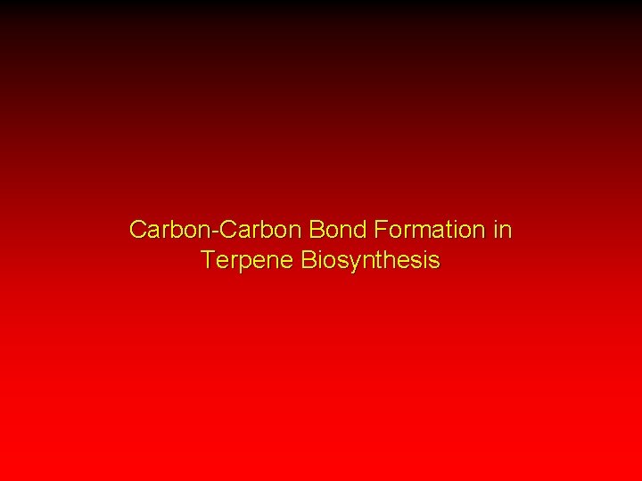 Carbon-Carbon Bond Formation in Terpene Biosynthesis 