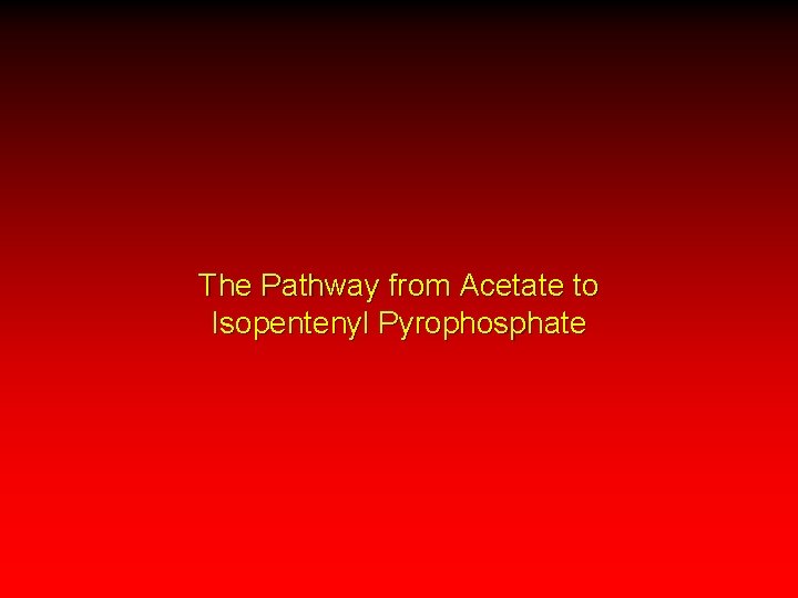 The Pathway from Acetate to Isopentenyl Pyrophosphate 
